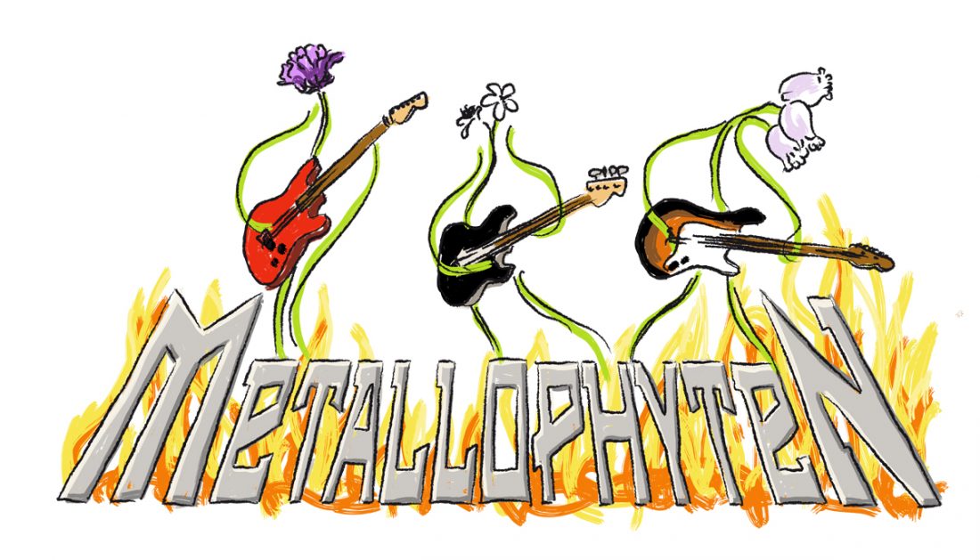 illu_metallophyten Plakat Calenberger Cantorei, Konzert Brahms und Mendelssohn
